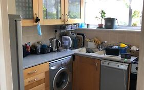 Wellness Haven Micro Pop-Up Hostel Catford